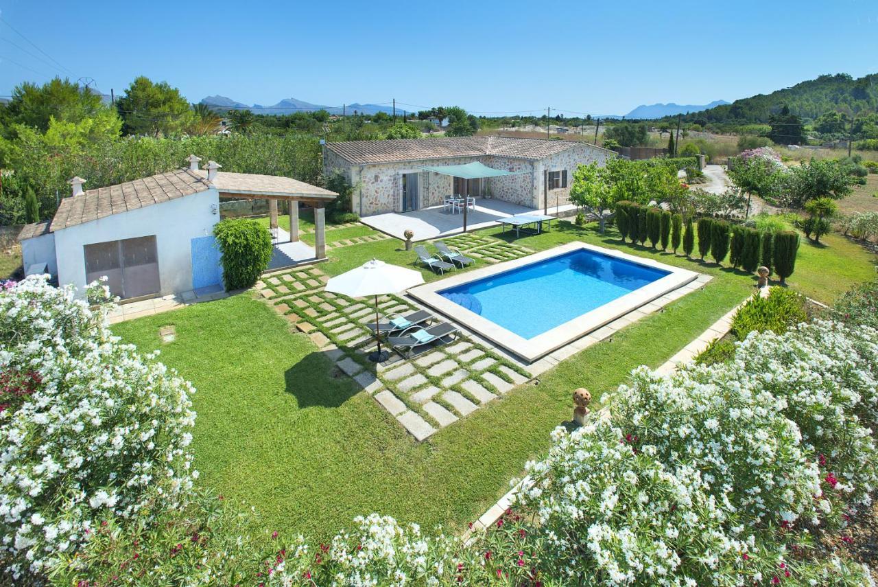 Owl Penaso - Dream Pool And Royal Garden Pollença