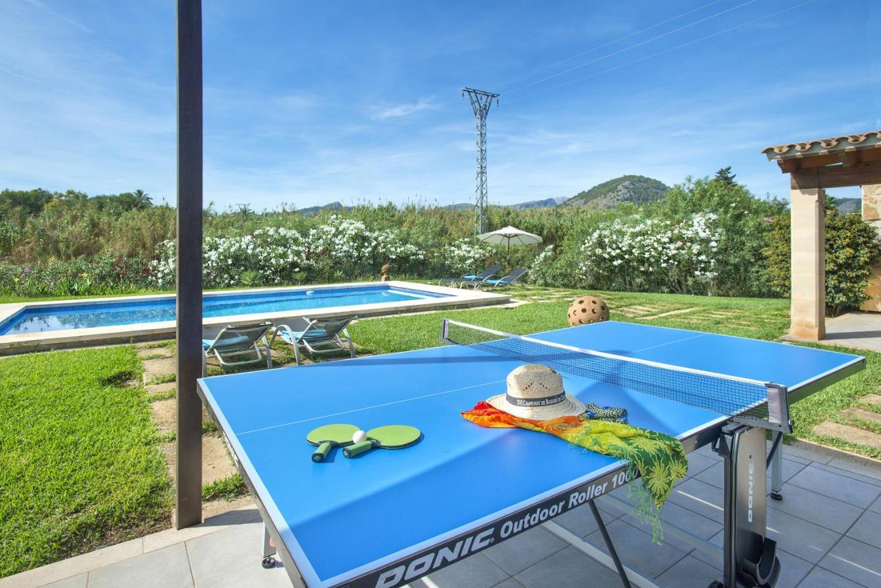 Owl Penaso - Dream Pool And Royal Garden *