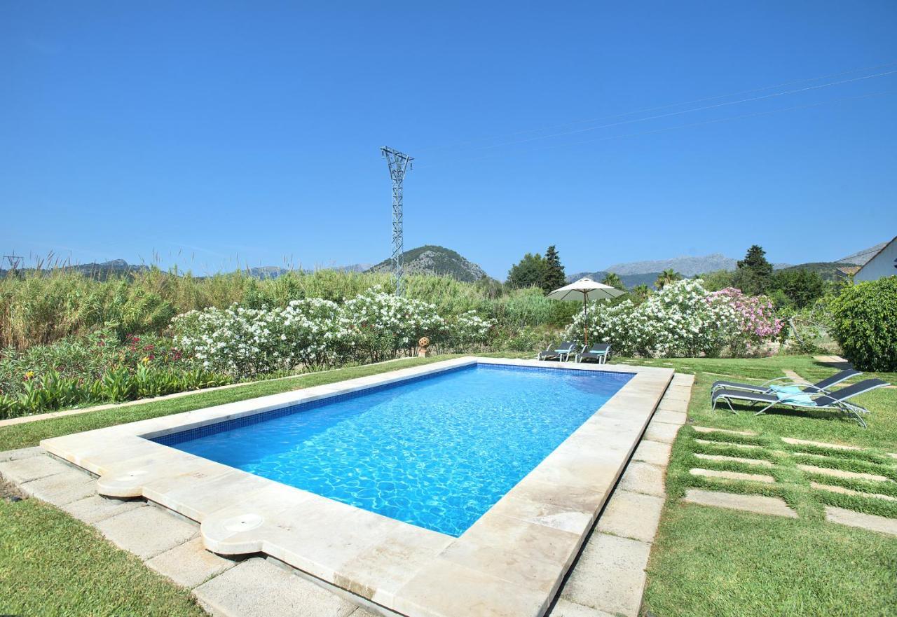 Owl Penaso - Dream Pool And Royal Garden Pollenca