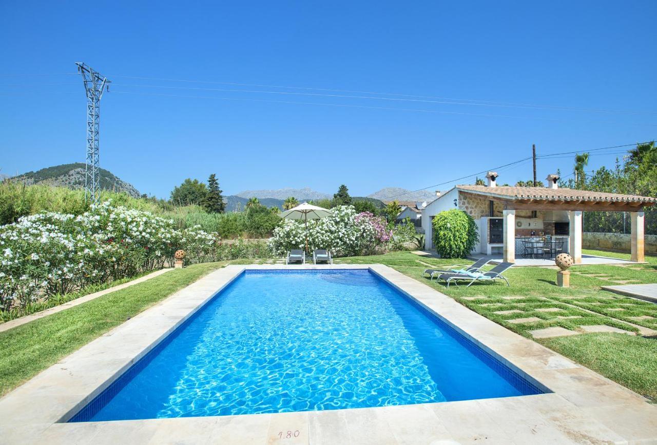 Owl Penaso - Dream Pool And Royal Garden *