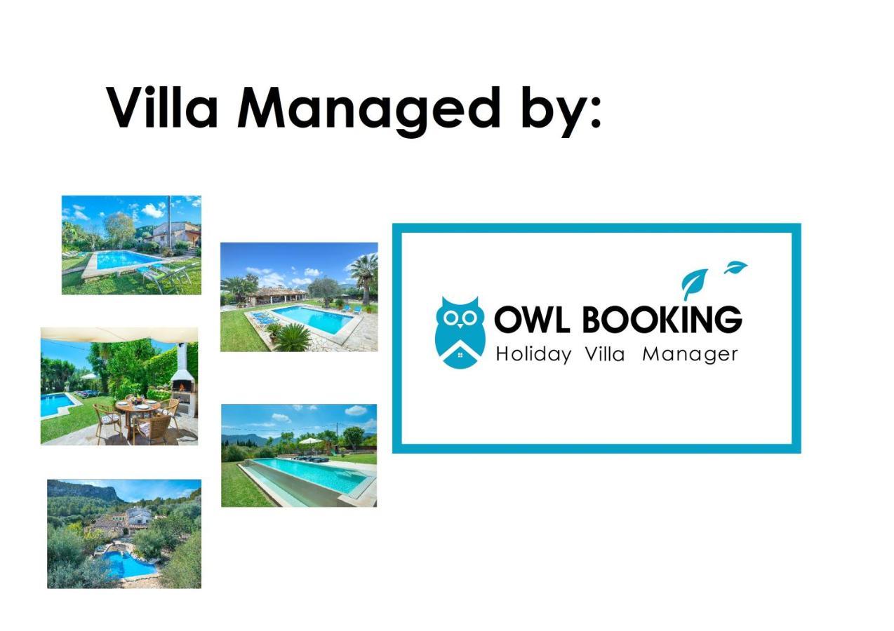 Owl Penaso - Dream Pool And Royal Garden * Pollenca